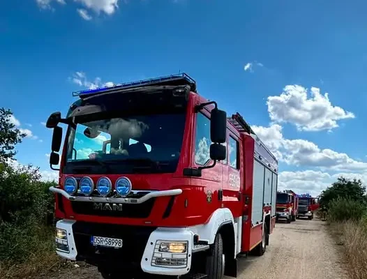 Podsumowanie interwencji strażaków z Miękini: pożary, owady i fałszywe alarmy