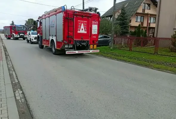 Wyciek gazu w Kostomłotach Pierwszych i interwencja przy gnieździe owadów w Miedzianej Górze